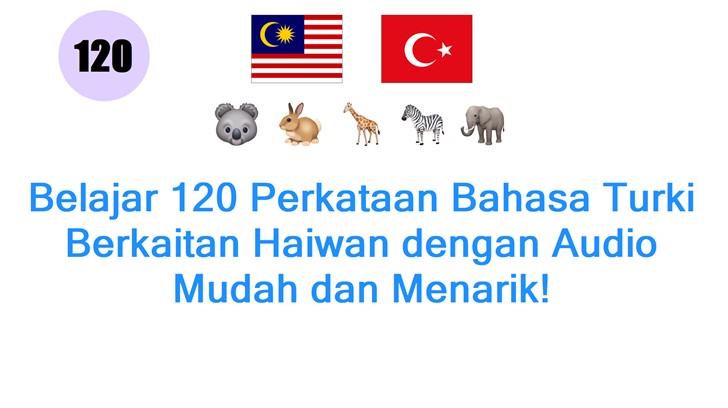 Belajar 120 Perkataan Bahasa Turki Berkaitan Haiwan dengan Audio Mudah dan Menarik!
